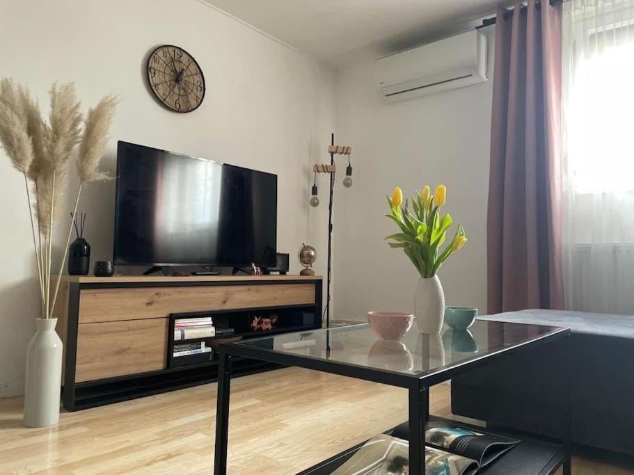Prekrasan mali stan Matilda u Zagrebu Apartment Bagian luar foto