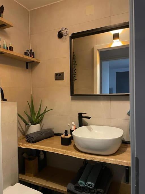 Prekrasan mali stan Matilda u Zagrebu Apartment Bagian luar foto