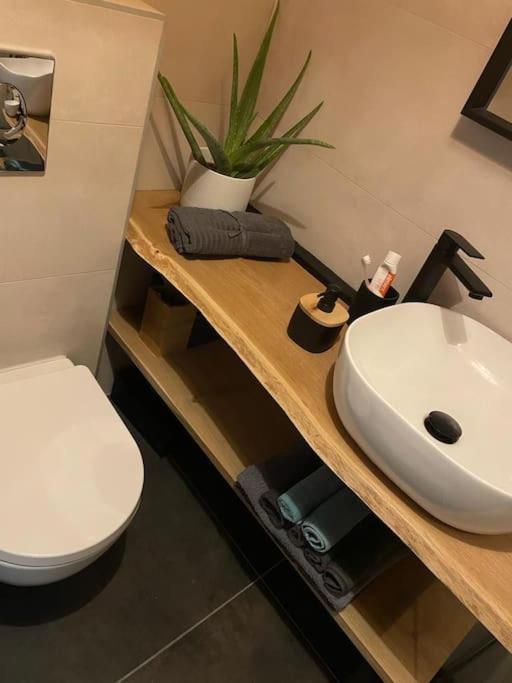 Prekrasan mali stan Matilda u Zagrebu Apartment Bagian luar foto